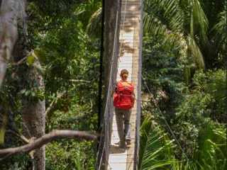 Descubra el Tree house lodge.