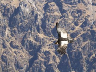 Salida hacia el cañón del Colca