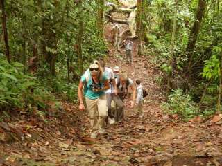 Bosque del lodge / Reserva Nacional Pacaya Samiria