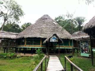 Iquitos / Selva Amazónica
