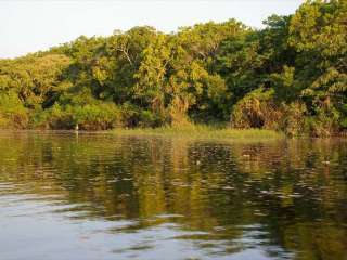Selva Amazónica