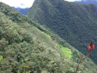 The 4 days inca trail