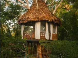 El Lodge Tree House.