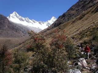 La caminata del Santa cruz.