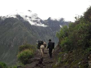 Caminata del cañon del Colca.