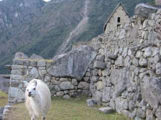 Machu Picchu