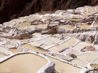 Maras
