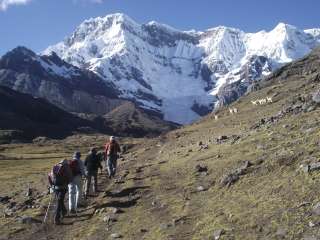 Trekking between Antanapata and Huampococha.