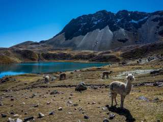Trekking between Chillca and Machuracay