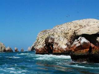 Mañana libre en Lima y traslado a Paracas
