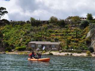 Suasi / Puno