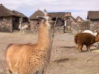 Crossing the Altiplano