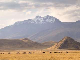 Crossing the Altiplano
