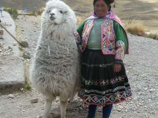 Crossing the Altiplano between Puno and Cusco
