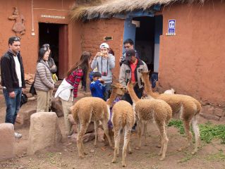 Travesía y visita del altiplano