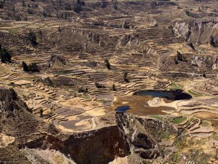 Trekking en el Cañón del Colca