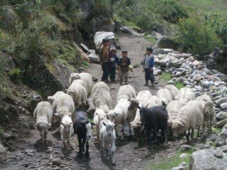Trekking de Lares