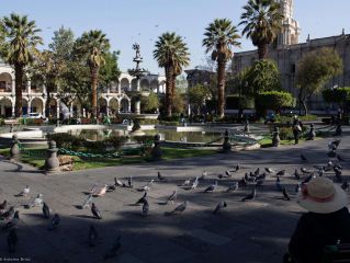 Visita de Arequipa