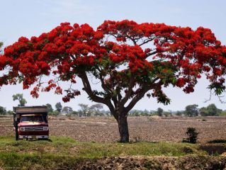 Visita de Chiclayo