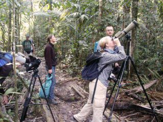 Visita Amazonia 