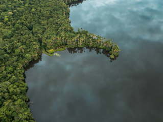Visita de la Amazonía