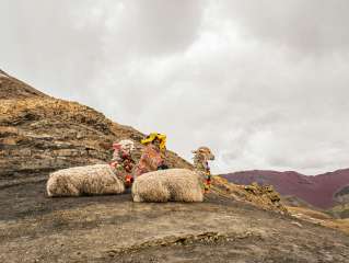 The rainbow mountain of Palccoyo