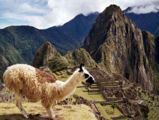 Visita de Machu Picchu.