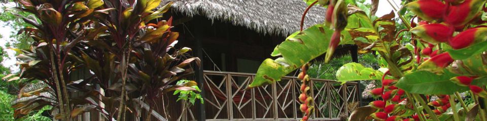 Descubra la Amazonia en lodge.