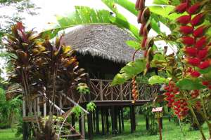 Descubra la Amazonia en lodge.