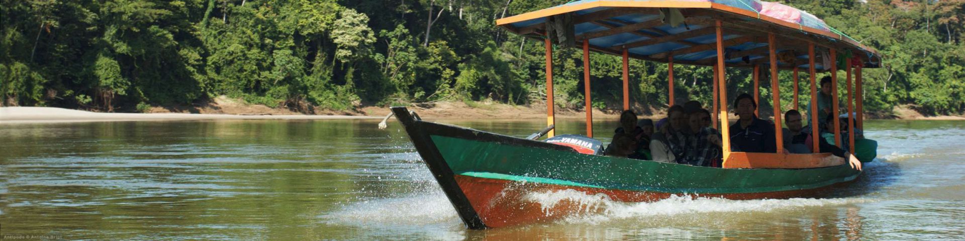 Desde Desierto hasta la Selva