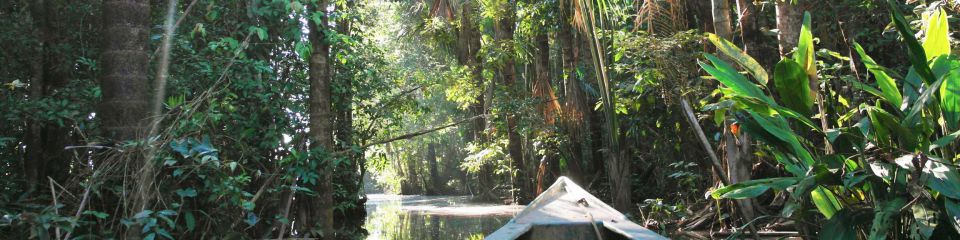 Excursión en la jungla tropical: El parque nacional del Manu.