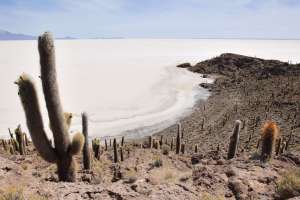 Perú / Bolivia en completa libertad