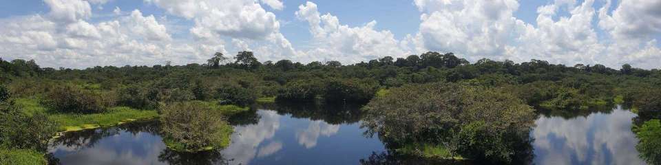 Reserva Pacaya Samiria 