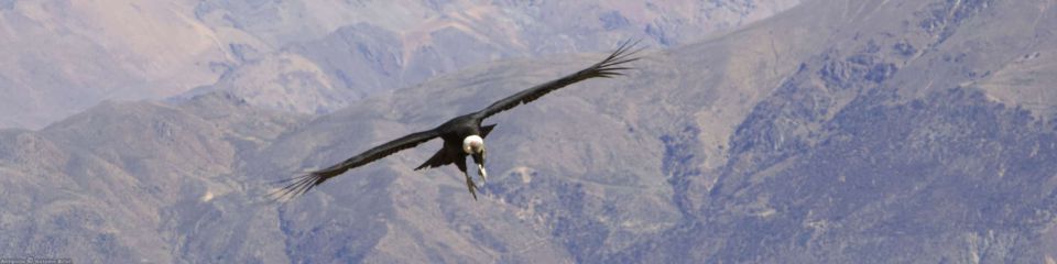 Colca Canyon