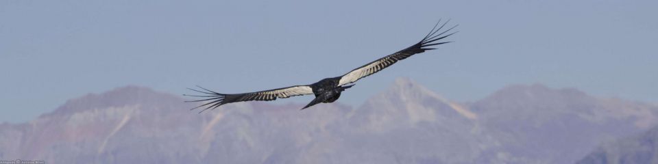 Cañon del colca