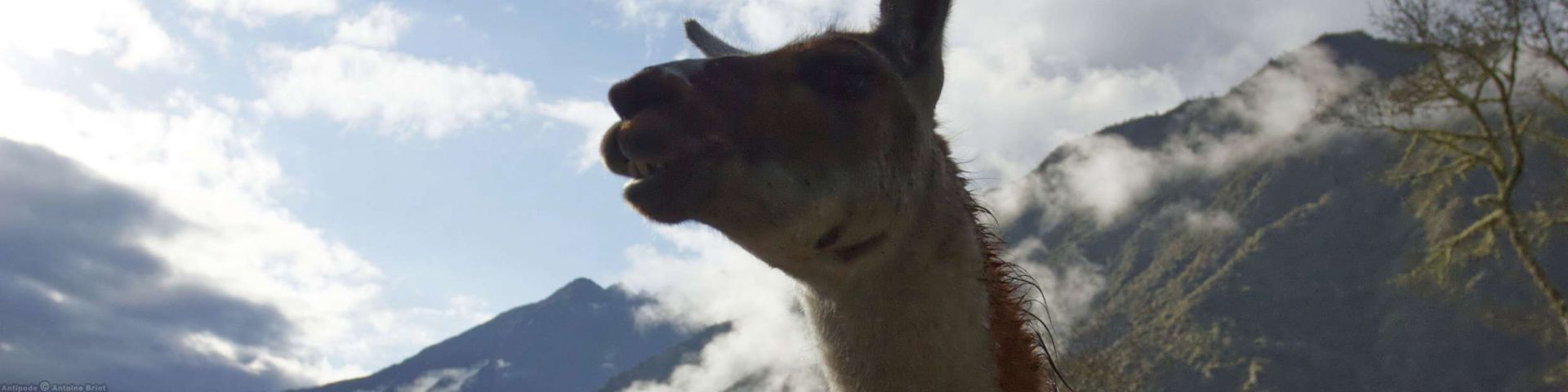 Camino Inca | MachuPicchu