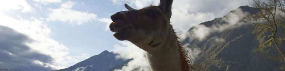 Camino Inca | MachuPicchu