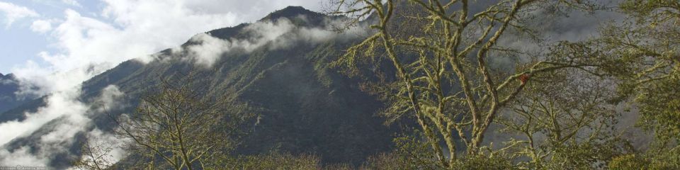 Inca Trail | MachuPicchu