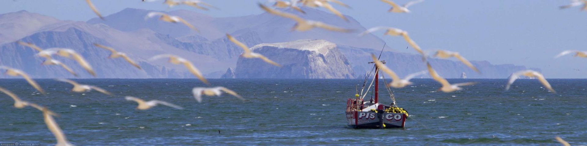 Paracas