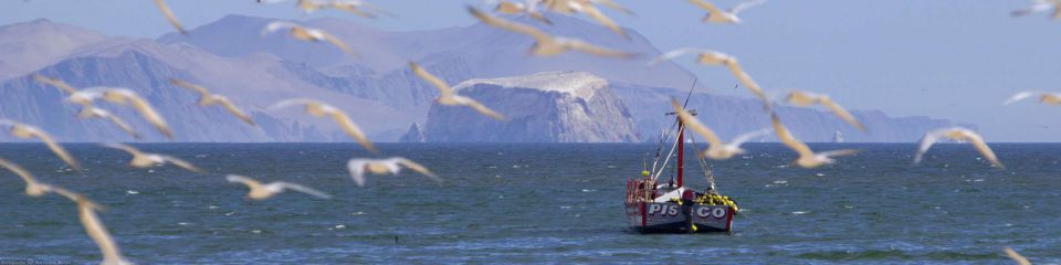 Paracas