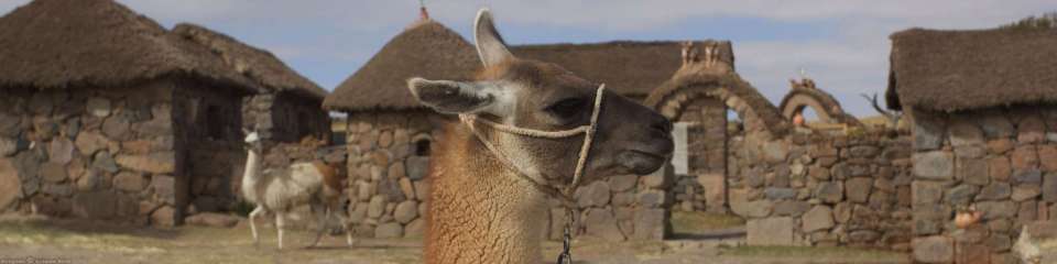 Responsible travel & home stay