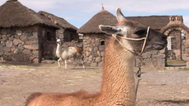 Homestay tours and responsible travel | Trips in Peru | Antipode